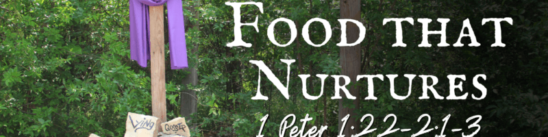 All on the Altar//Food that Nurtures - 1 Peter 1:22-2:1-3