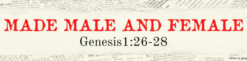 Let's Reason//Made Male and Female - Genesis 1:26-28